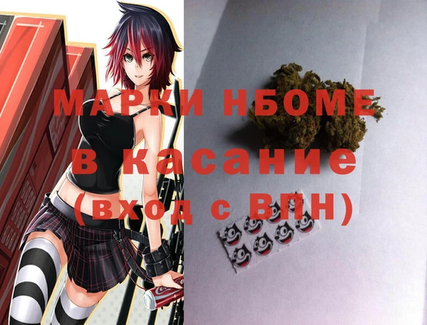 шишки Горняк