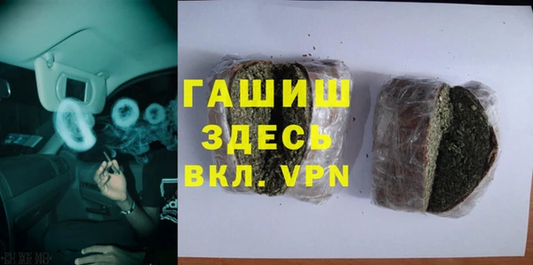 шишки Горняк