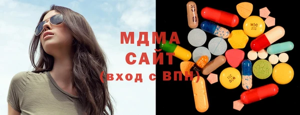 шишки Горняк
