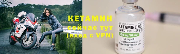 шишки Горняк