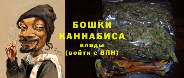 шишки Горняк