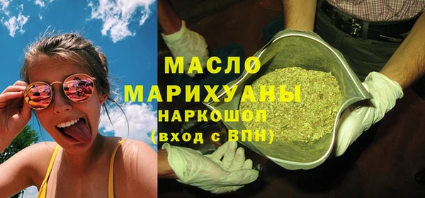 шишки Горняк