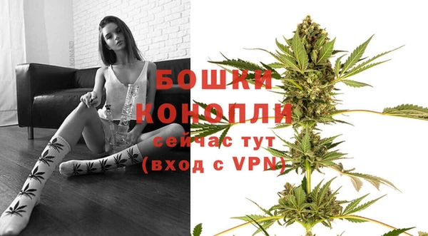 шишки Горняк