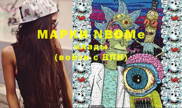 шишки Горняк