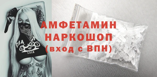 шишки Горняк
